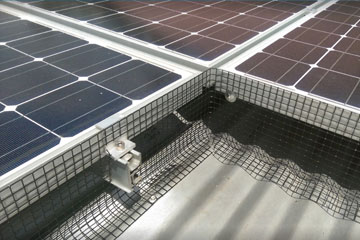 Solar Bird Proofing